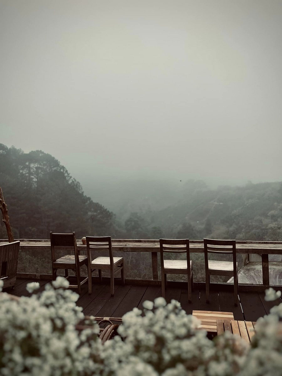 Đánh Giá Chung Về Quán Cafe Nhà Bên Rừng