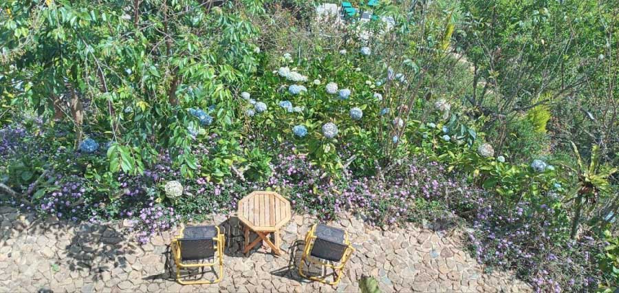 Ngắm nhìn mọi thứ từ chỗ ngoài phía bên ngoài