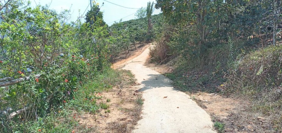 lối đi nhỏ đến Mây trên đỉnh đồi Đà Lạt