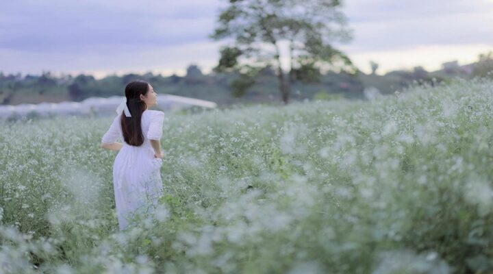Du lịch đà lạt mùa hoa cải trắng