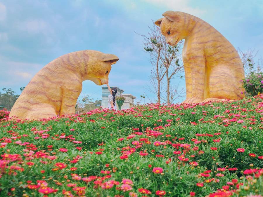 Nông trại cún Puppy Farm Đà Lạt