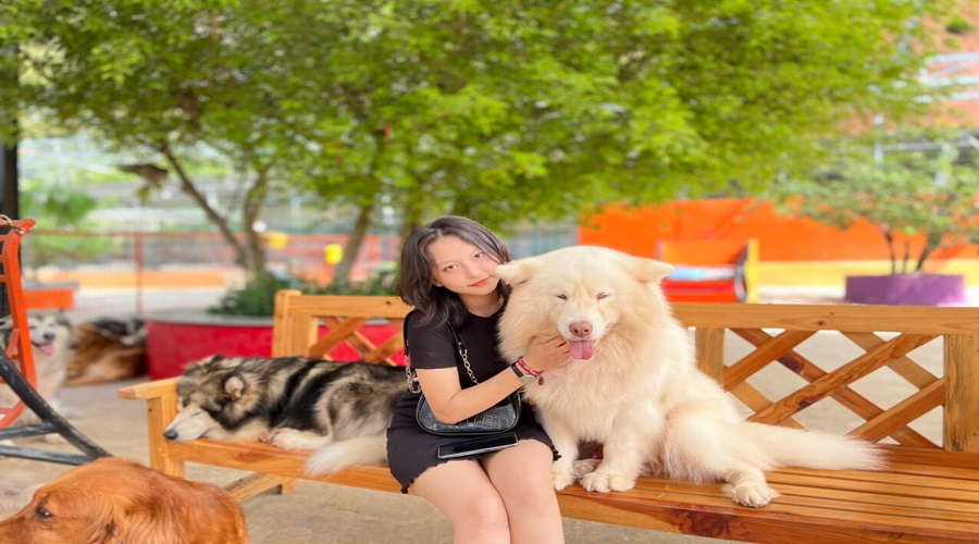 puppy farm đà lạt