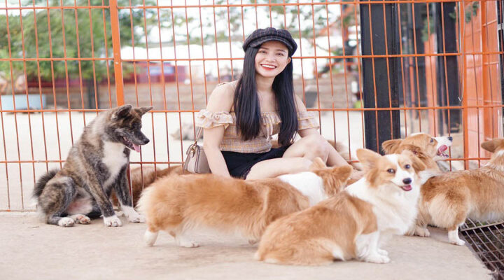 puppy farm đà lạt